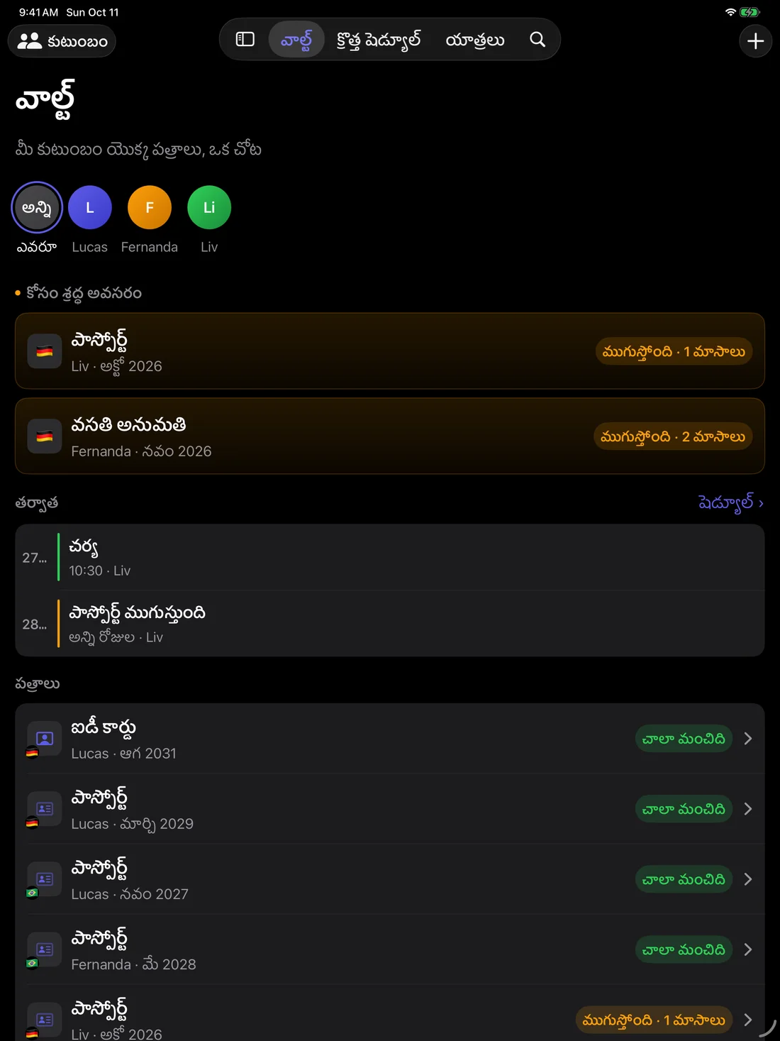 Kinfold on iPad — te