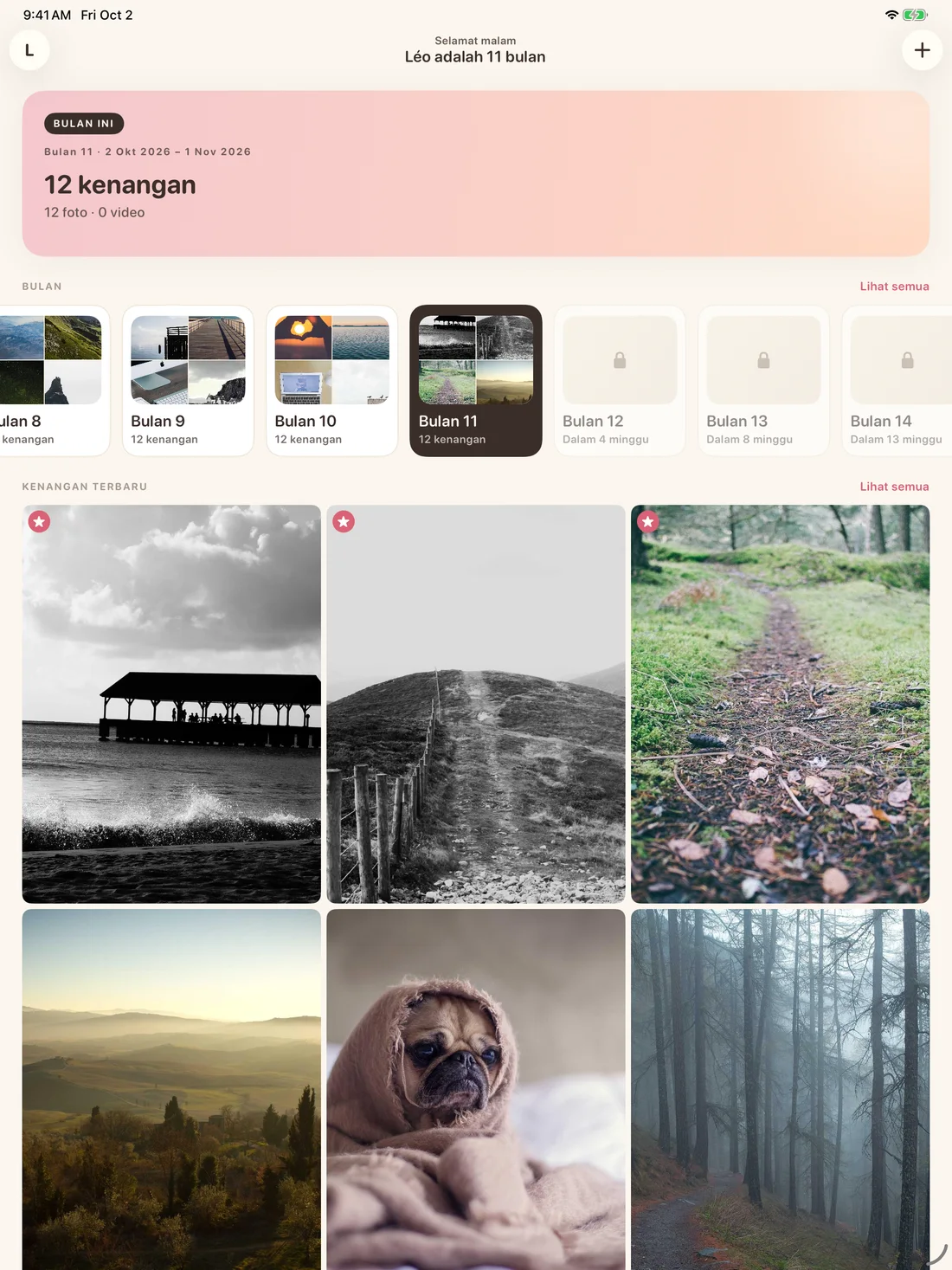 Memories on iPad — id