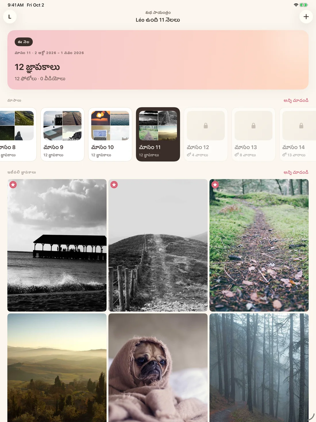 Memories on iPad — te