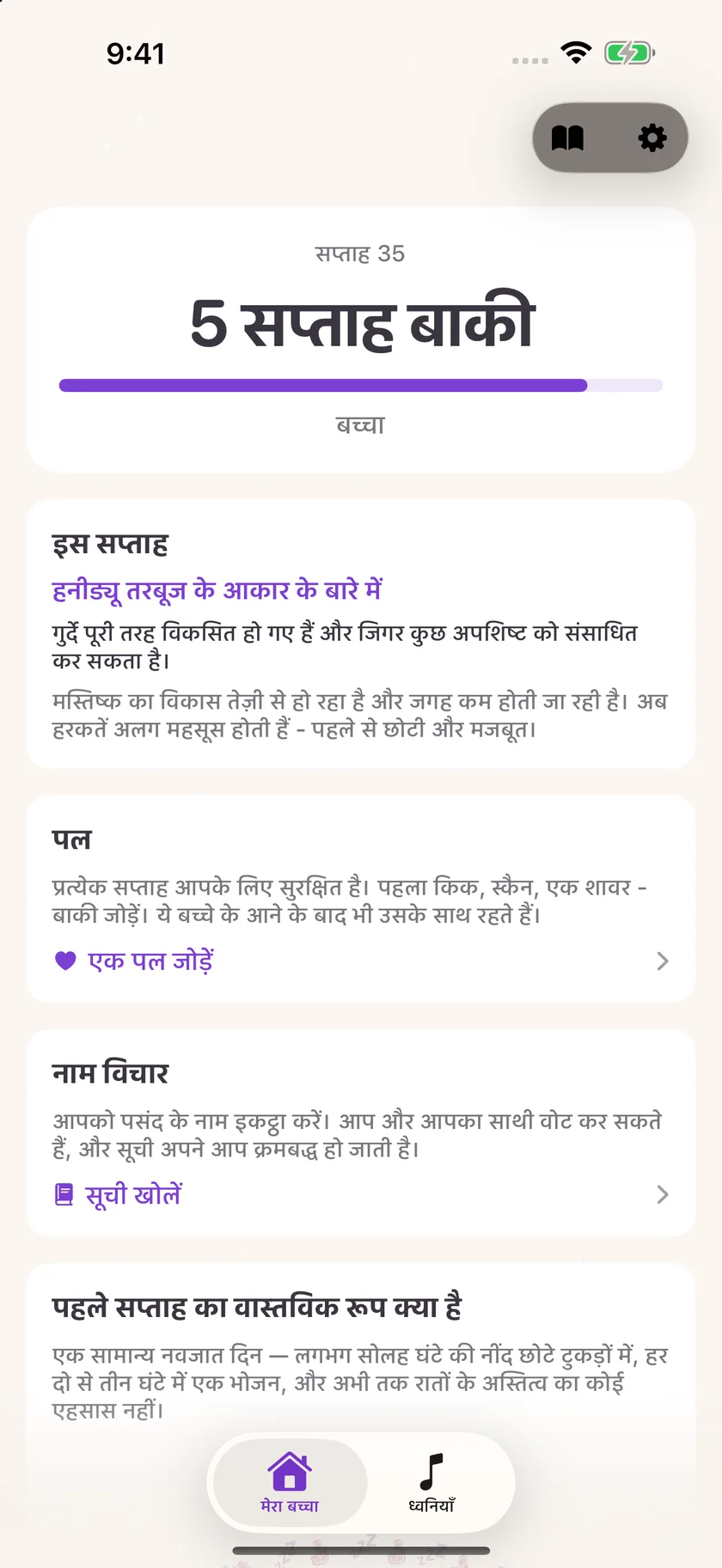 Zuzu — प्रेग्नेंसी का काउंटडाउन (hi)