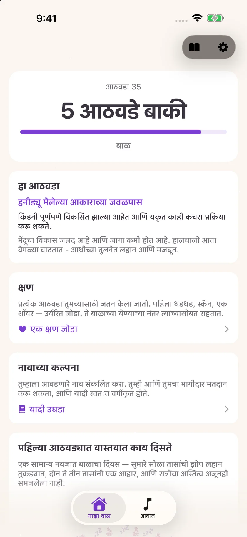 Zuzu — गरोदरपणाचा काउंटडाऊन (mr)
