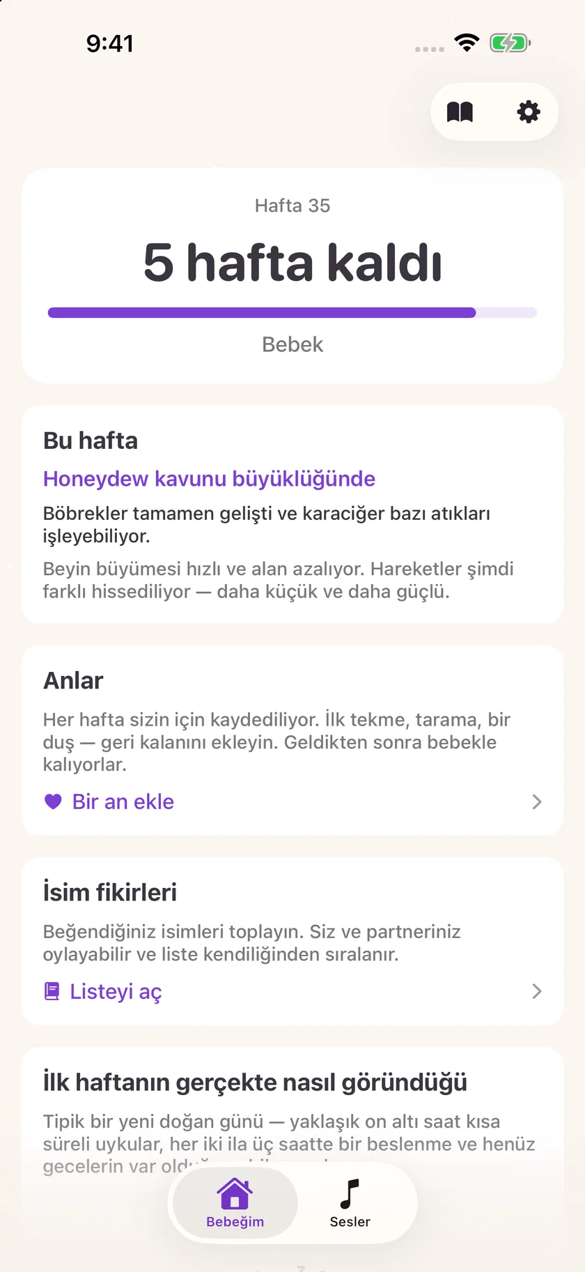 Zuzu — Hamilelik geri sayımı (tr)